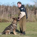 german-shepherd-obedience-training