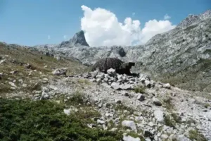 peaks of the balkans