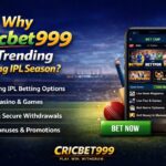 Cricbet999 Is Trending During IPL Season
