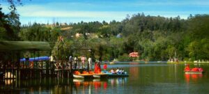 Ooty Honeymoon Packages