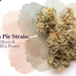 Screenshot 2026-03-25 110747