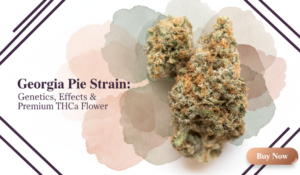 Screenshot 2026-03-25 110747