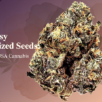 Screenshot 2026-03-25 135718