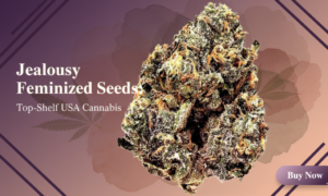 Screenshot 2026-03-25 135718