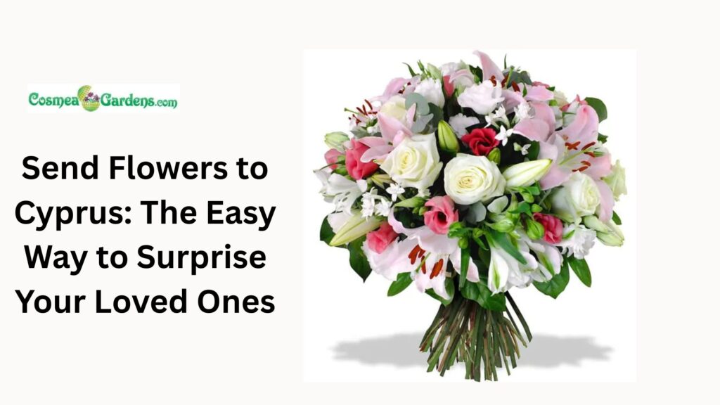 send flowers Cyprus