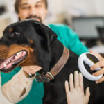 pet microchiping