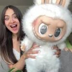 What is Labubu and its Purpose?