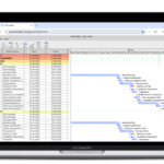 P6 Project Management