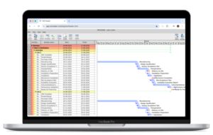 P6 Project Management