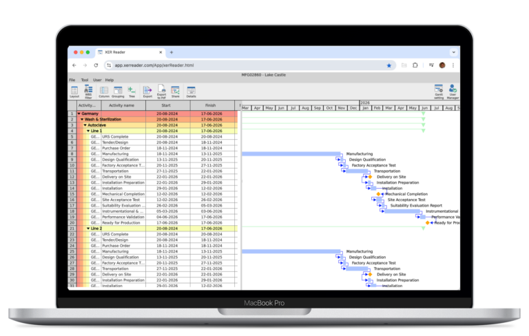 P6 Project Management