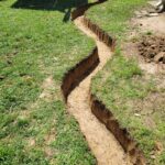 20230425_110403-scaled