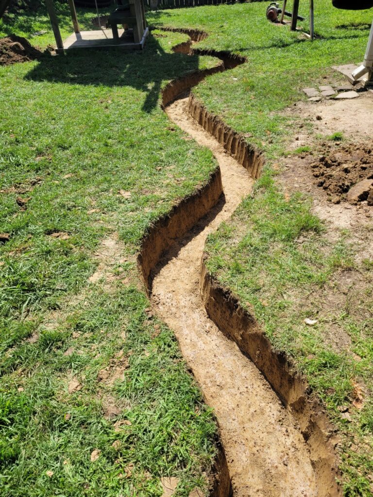 20230425_110403-scaled