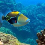 AdobeStock_377805673-scaled