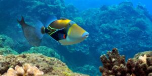 AdobeStock_377805673-scaled