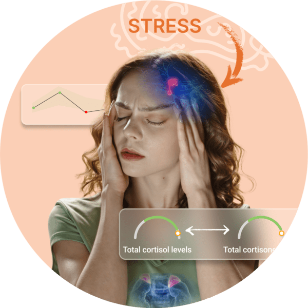 hormone imbalance tests
