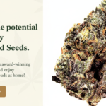 Screenshot 2026-04-10 155150