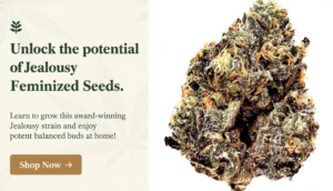 Screenshot 2026-04-10 155150