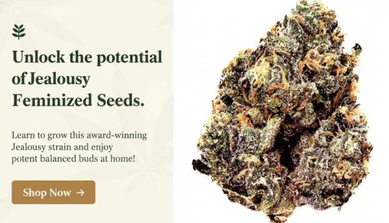 Screenshot 2026-04-10 155150