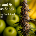 Screenshot 2026-04-20 111255