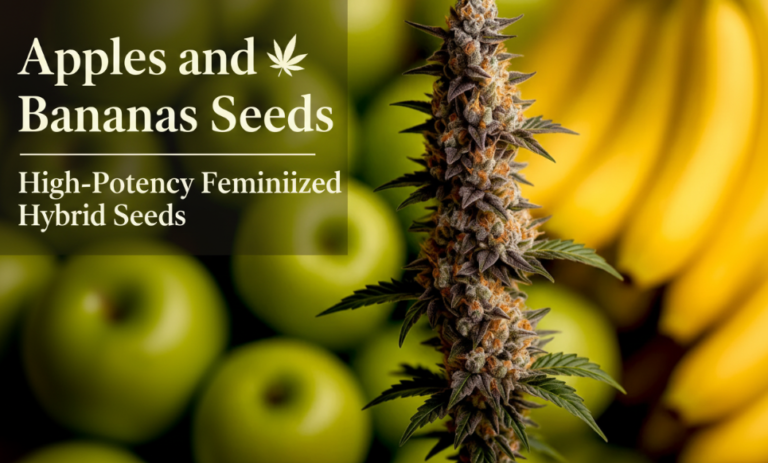 Screenshot 2026-04-20 111255