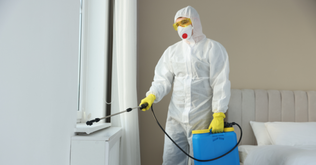 Your paragraph text (6)