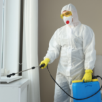 Your paragraph text (6)