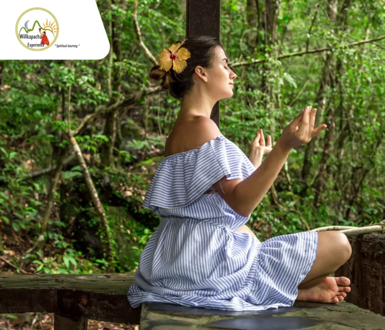 best ayahuasca retreats