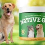 native gut reviews