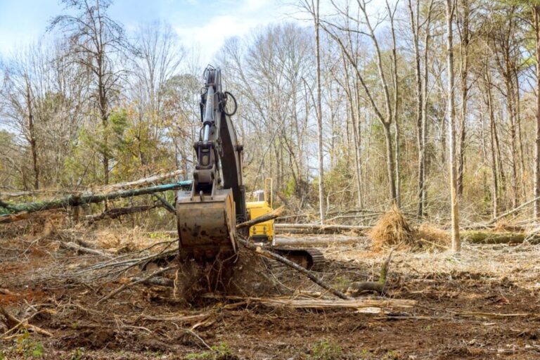 Land Clearing