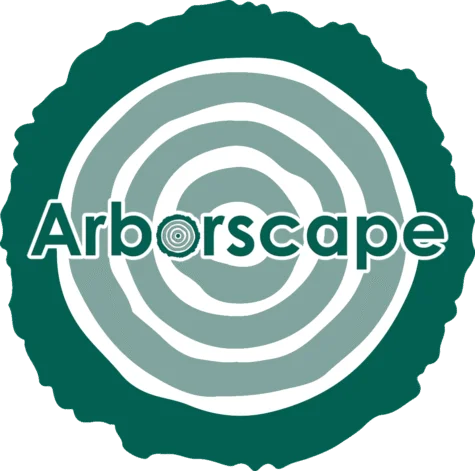 Best Landscaping Services in Cumbria