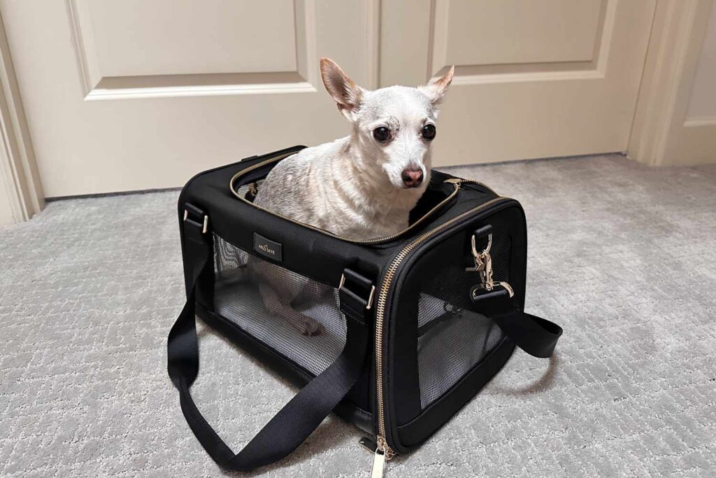 Dog carrier