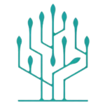 Responsible AI Training