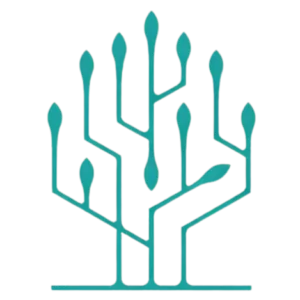 Responsible AI Training