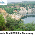 asola bhatti wildlife sanctuary