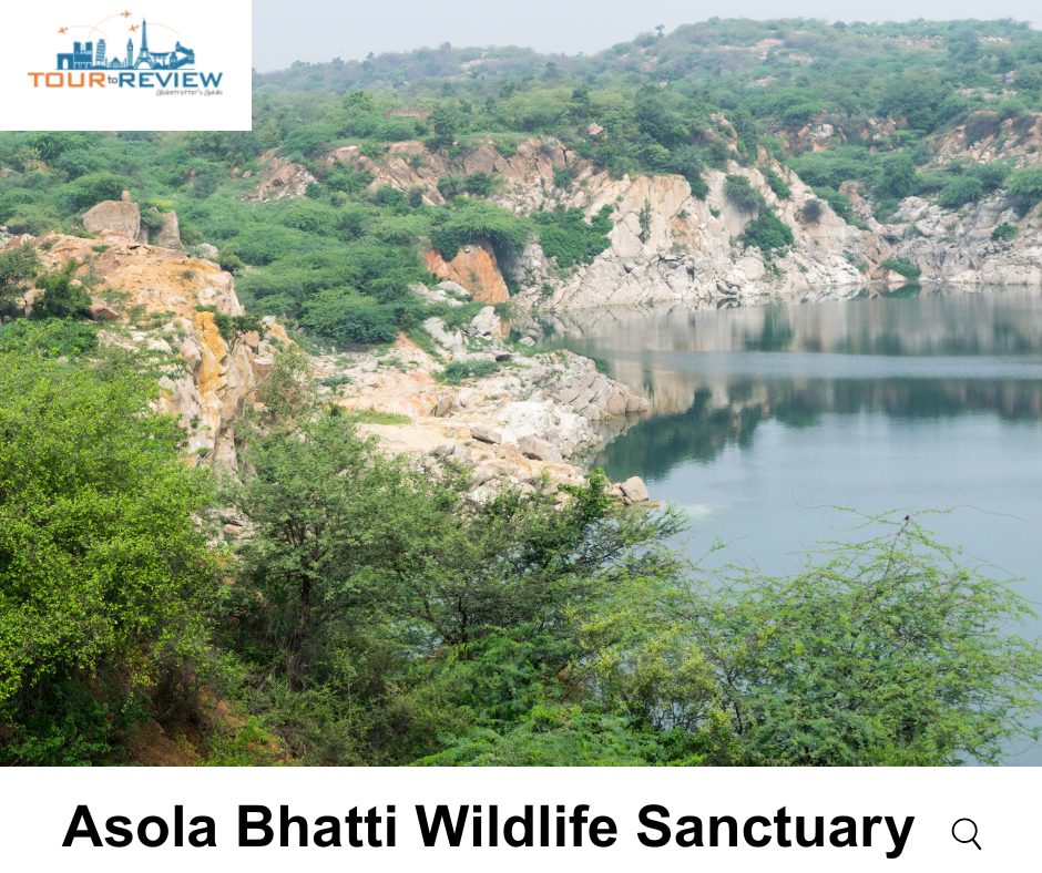 asola bhatti wildlife sanctuary