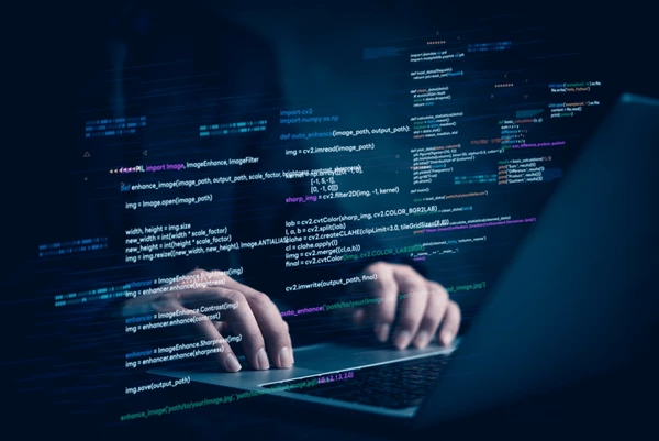 web development services