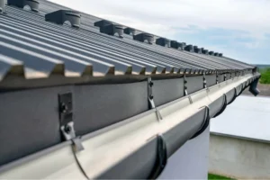 Roof Maintenance