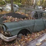 Cash For Junk Cars Buyer