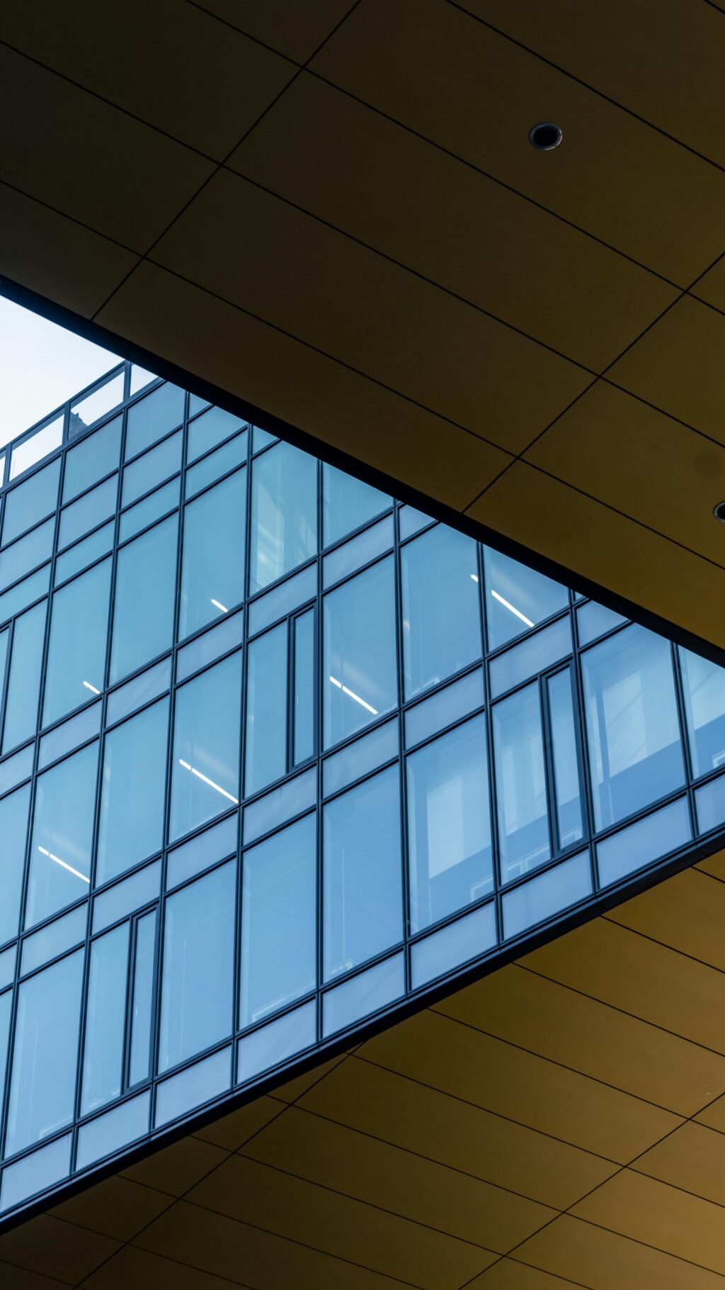 Residential and Commercial Window Tinting
