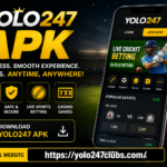 yolo247 apk