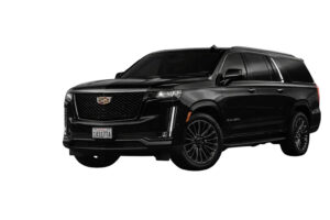 California limousine services