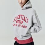 New Online Brands Essential Hoodie Style The New Official Fashion Movement