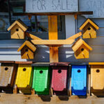bird houses for sale