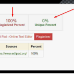 plagiarism checker