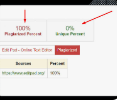 plagiarism checker