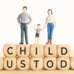 Child Custody Cases