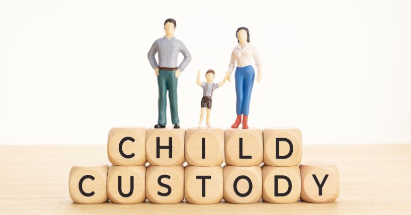 Child Custody Cases
