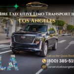 FIFA World Cup Transportation Services