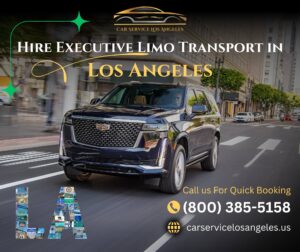FIFA World Cup Transportation Services