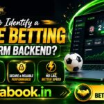 Strong betting platform backend helps users enjoy secure betting, stable servers, and faster processing speeds.